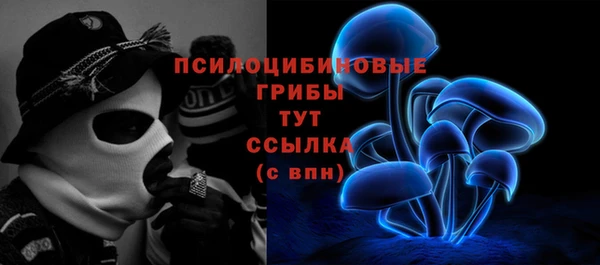 спиды Алзамай